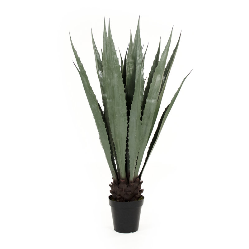Foundry Select Faux Agave Plant in Pot Wayfair